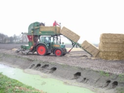 Covering the fields with Straw